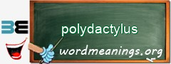 WordMeaning blackboard for polydactylus